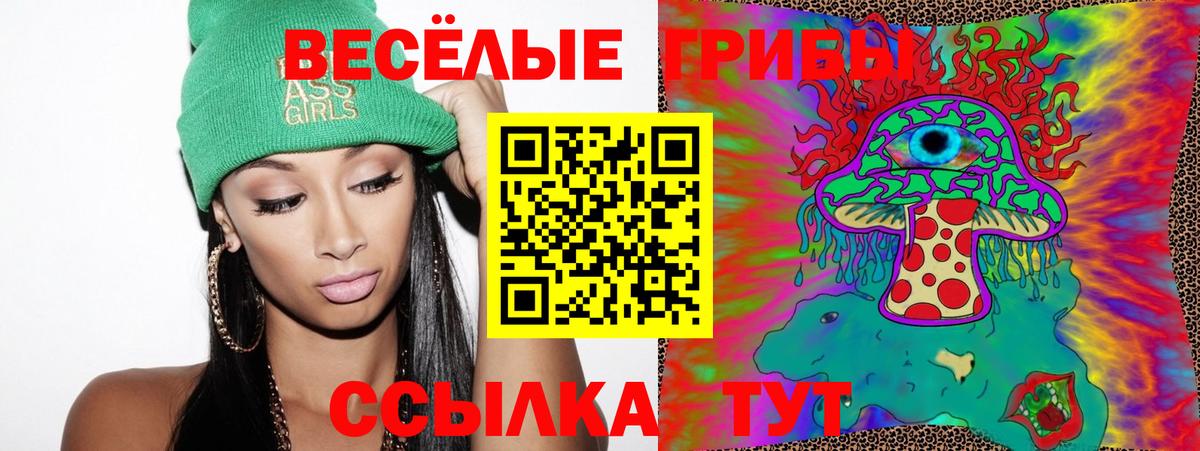 Галлюциногенные грибы Psilocybine cubensis Орск